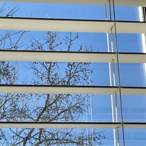 partially obscured Onlyfans