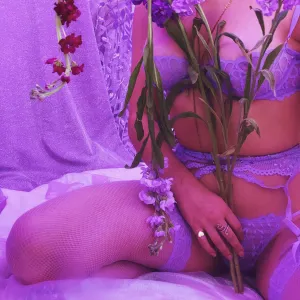 Lavender Rose