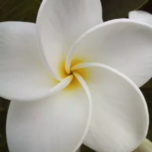 Katty Wildstone Onlyfans