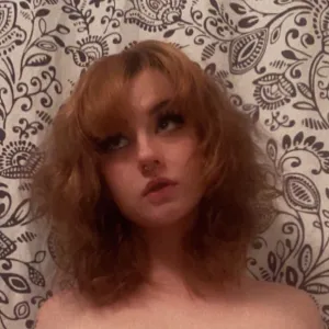 🪴 Clover Fox 🪴