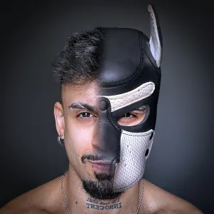 Nacho Wolf