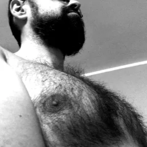 Hairy Teddy 🐻 Onlyfans