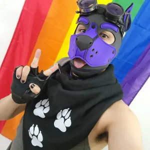 pixelbitpup OnlyFans