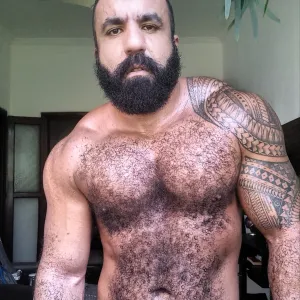 Musclebearbrazil Onlyfans