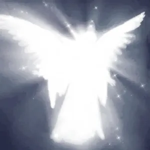 𝔞𝔫𝔤𝔢𝔩 🗡🪽