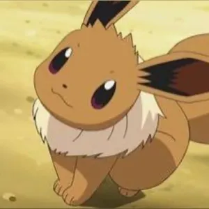 Eevee Babee