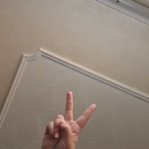 Anonymous twat Onlyfans