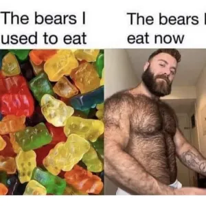 bearlovergaymer Onlyfans