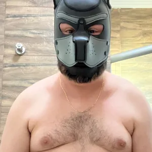 Psicobear Onlyfans