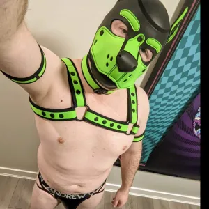 pup_spot OnlyFans