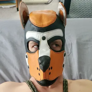 Pup Xolo Onlyfans