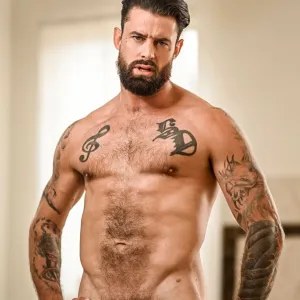 ALPHA WOLFE