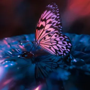 ✨Galactic Goddess✨