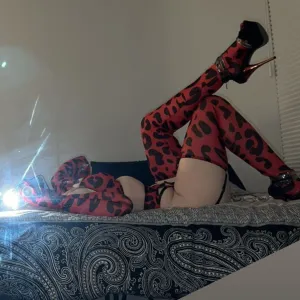 🍒 𝗠𝗮𝗱𝗱𝘆 𝗠𝗮𝘇𝗲 🍒