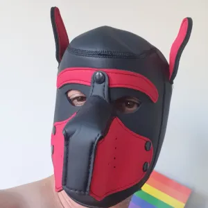 DoggyGayBoys Onlyfans