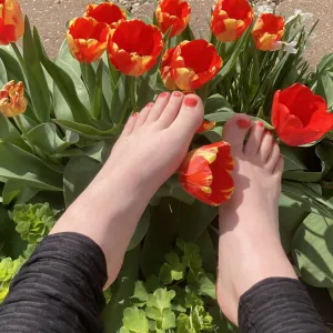 Lilly’s Lesbian Toes Onlyfans